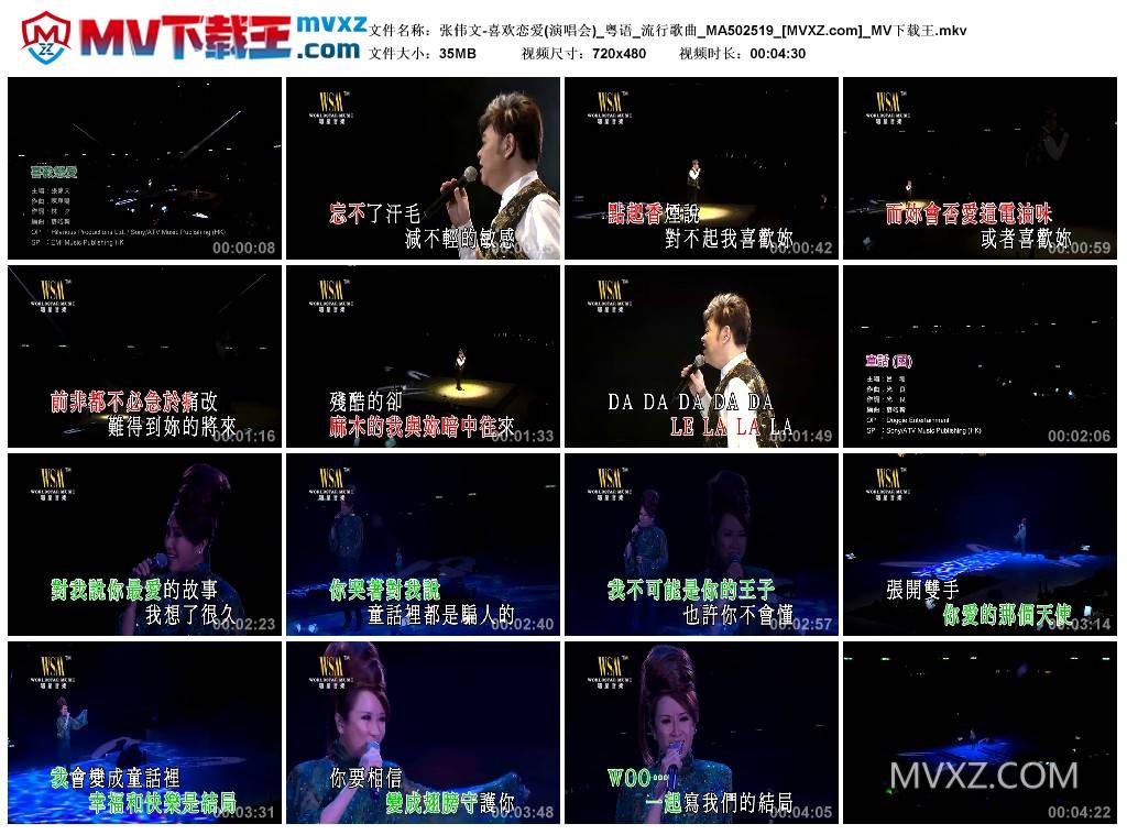 张伟文-喜欢恋爱(演唱会)_粤语_流行歌曲_MA502519